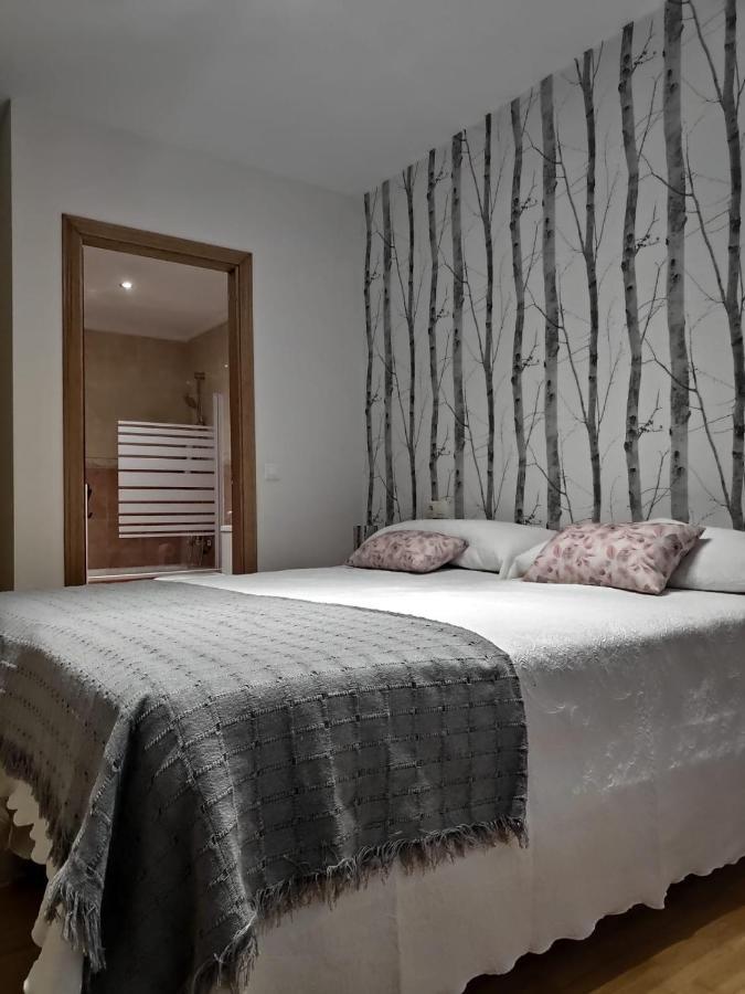 Apartamento Centrico Con Wifi Y Parking De Coche Tamano Medio Cangas de Onis Luaran gambar